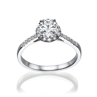 Picture of 0.68 Total Carat Halo Engagement Round Diamond Ring