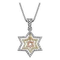 Picture of 0.84 Total Carat Star of David Round Diamond Pendant