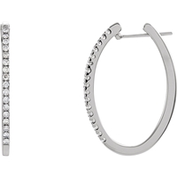 Picture of 0.50 Total Carat Hoop Round Diamond Earrings