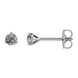 Picture of 0.20 Total Carat Stud Round Diamond Earrings