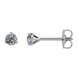 Picture of 0.20 Total Carat Stud Round Diamond Earrings